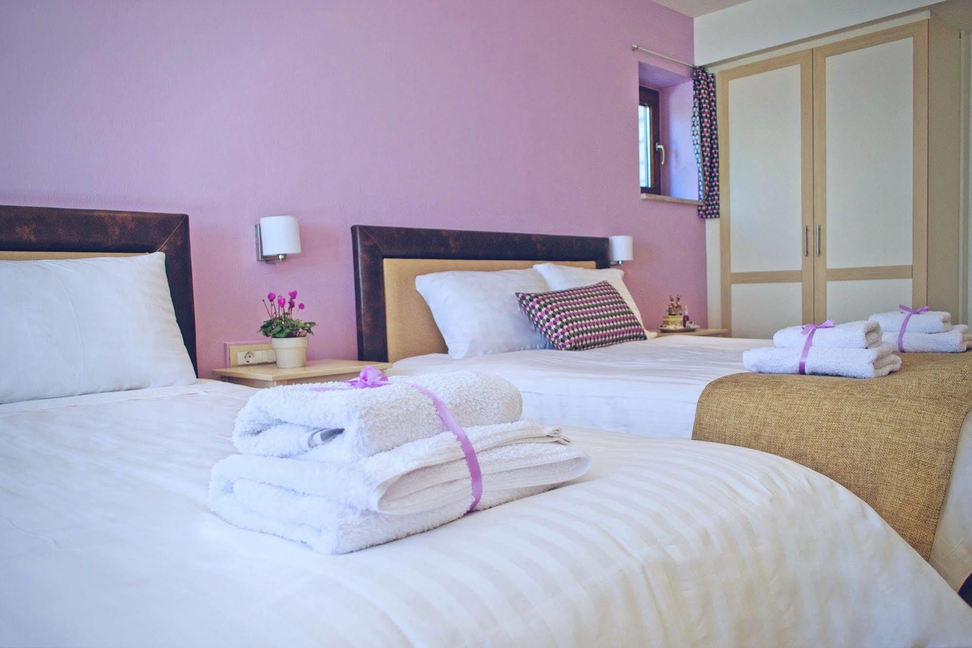 Arktos Hotel Ioannina Exterior photo